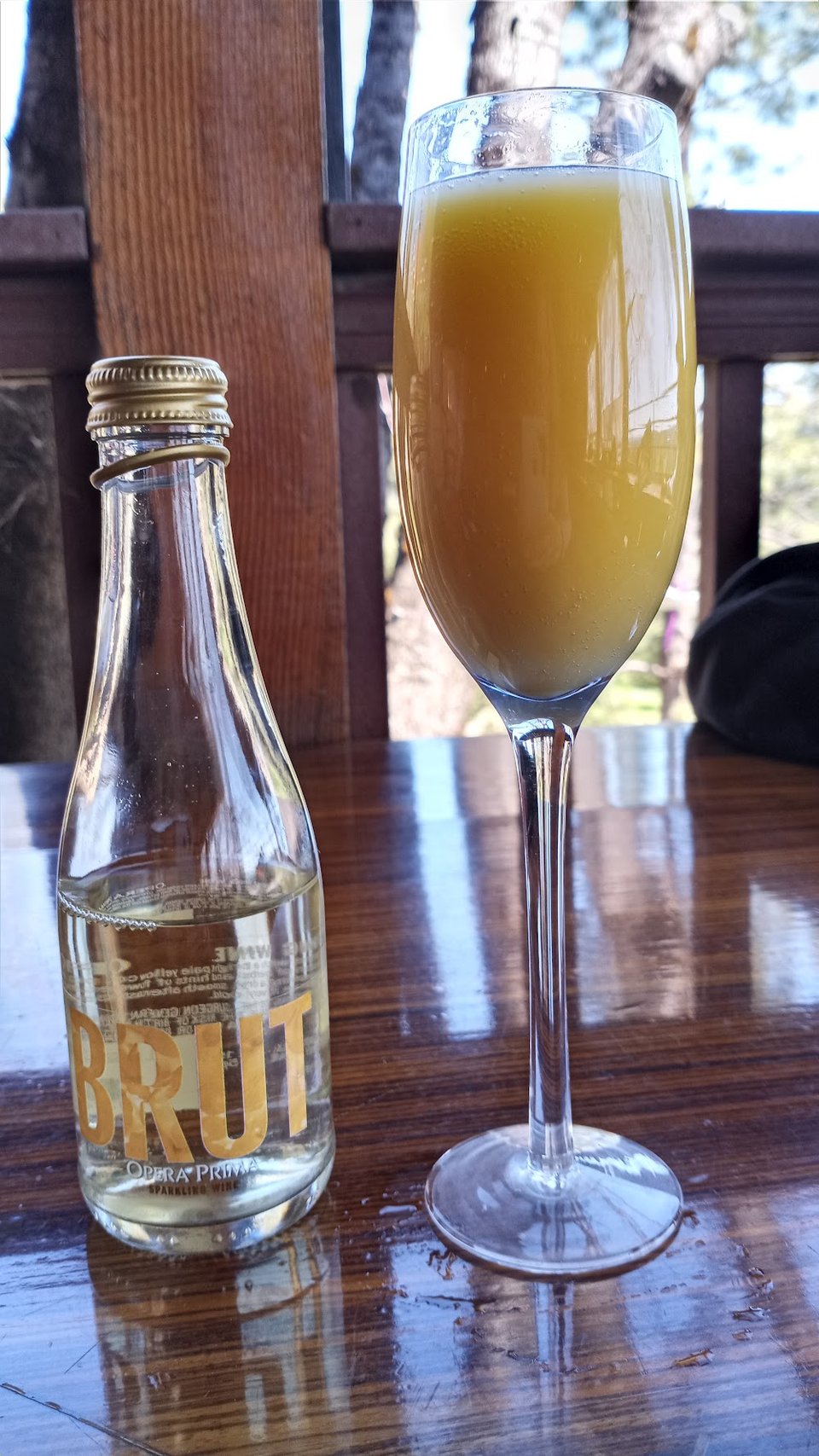 Mimosa